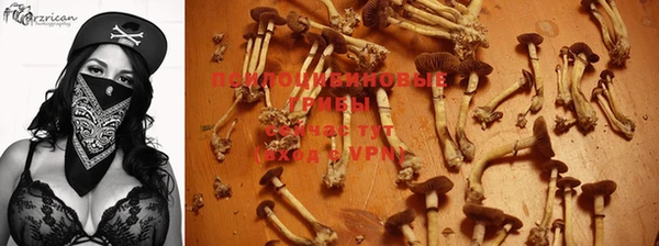 бошки Медвежьегорск